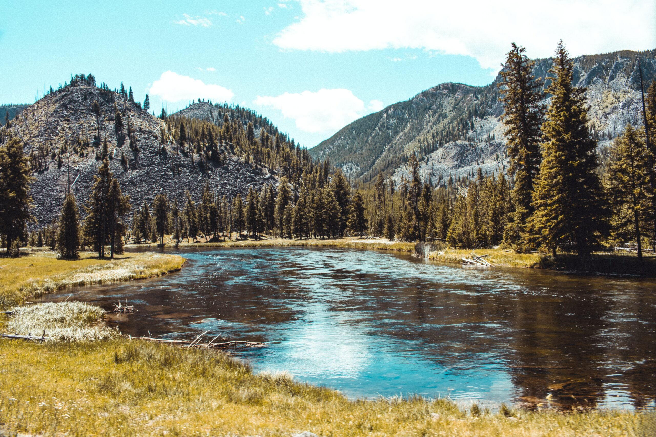 yellowstone park