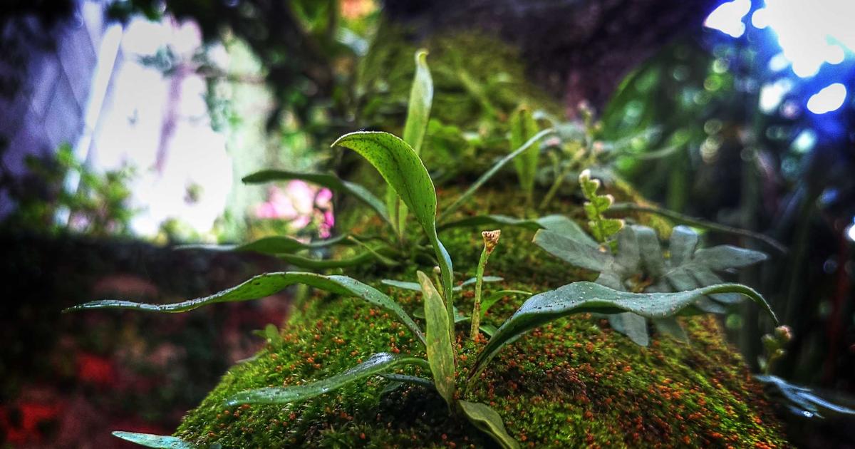 Gaming setup with controller and keyboard