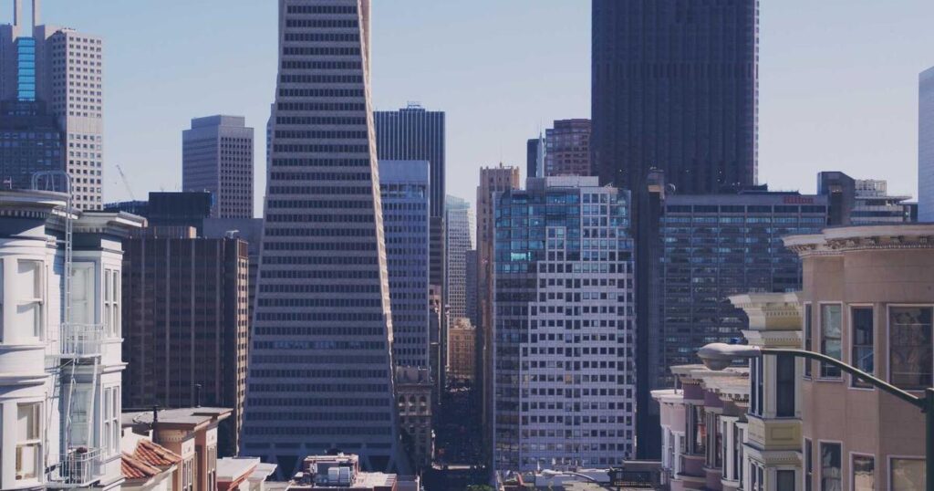 Essential pet care guide - happy pets living their best lives