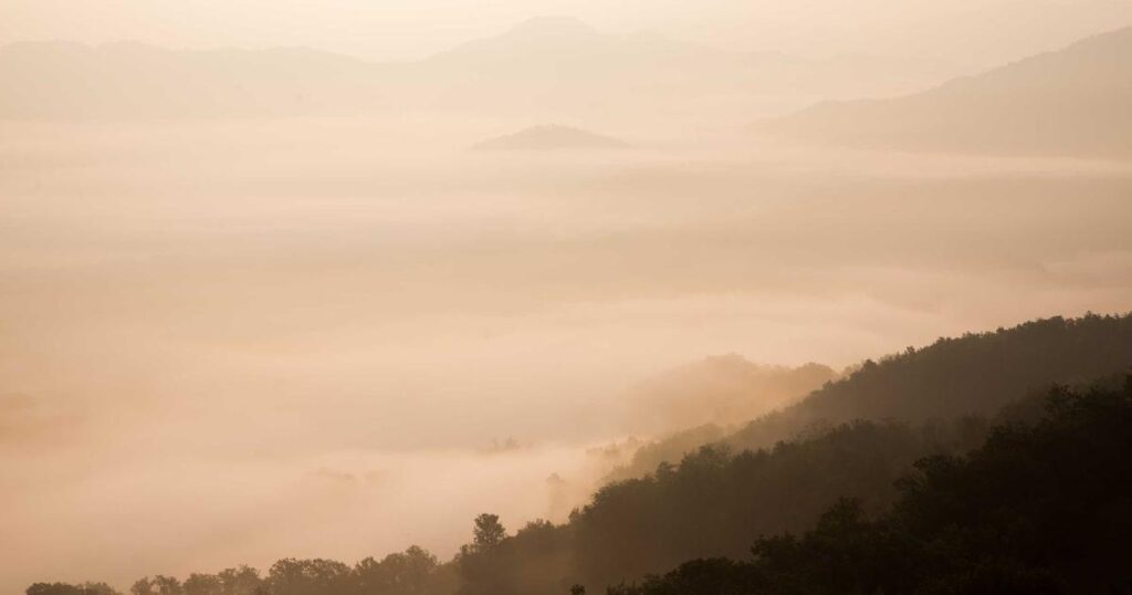 Workout routine fitness training