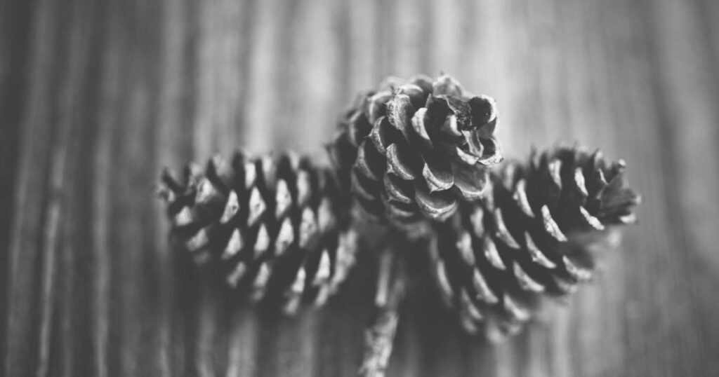 Vibrant cultural festival celebration with diverse traditions