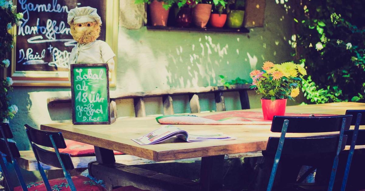 Peaceful sleeping pet demonstrating quality rest