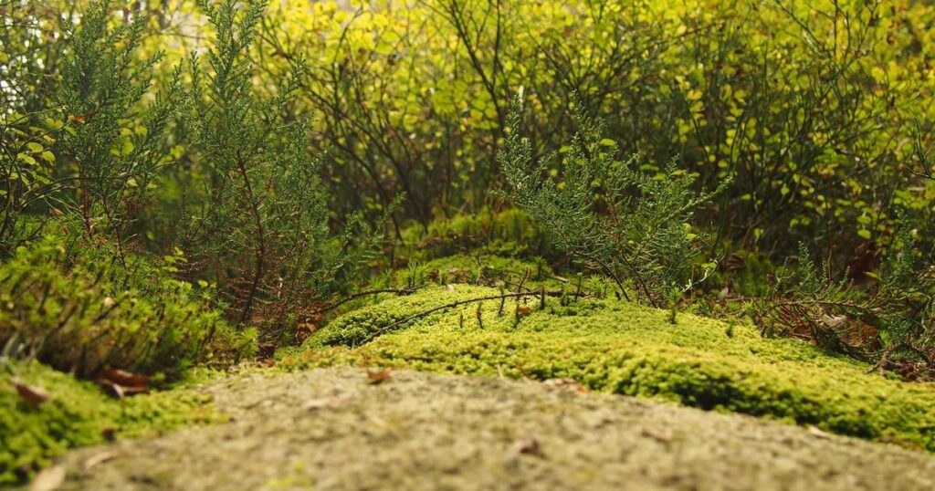 TheWellix lifestyle image