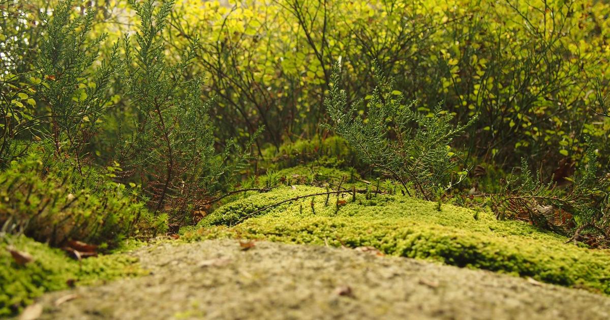 TheWellix lifestyle image