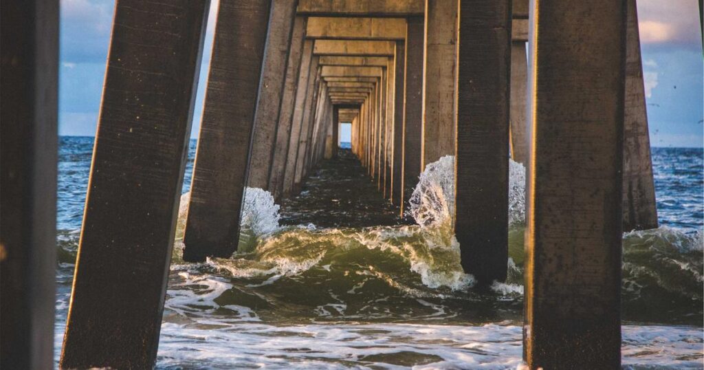 Circadian Health: The Science of Aligning Your Body Clock for Optimal Wellness