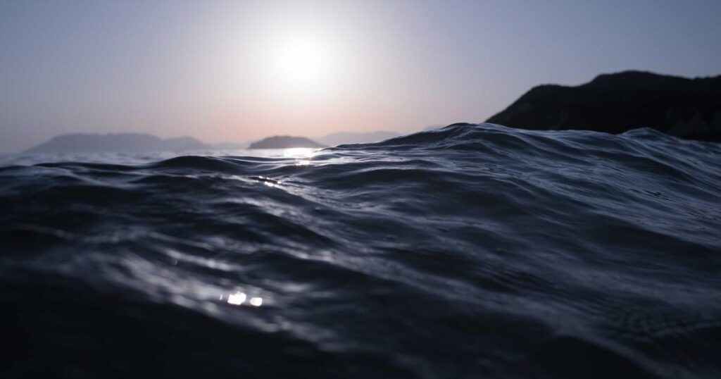 Weekend Roundup: Active Life Furry Friends