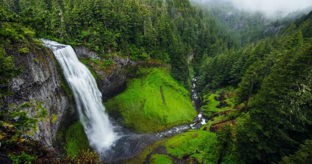 Fermented Foods: The Gut Health Revolution Transforming Home Kitchens