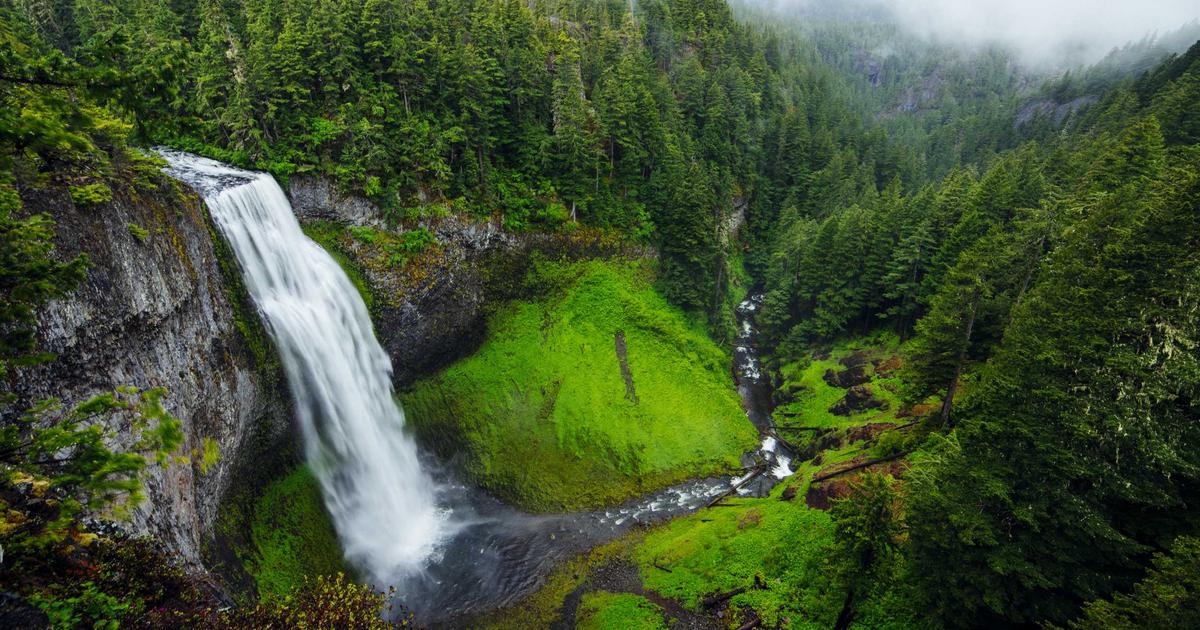 Fermented Foods: The Gut Health Revolution Transforming Home Kitchens